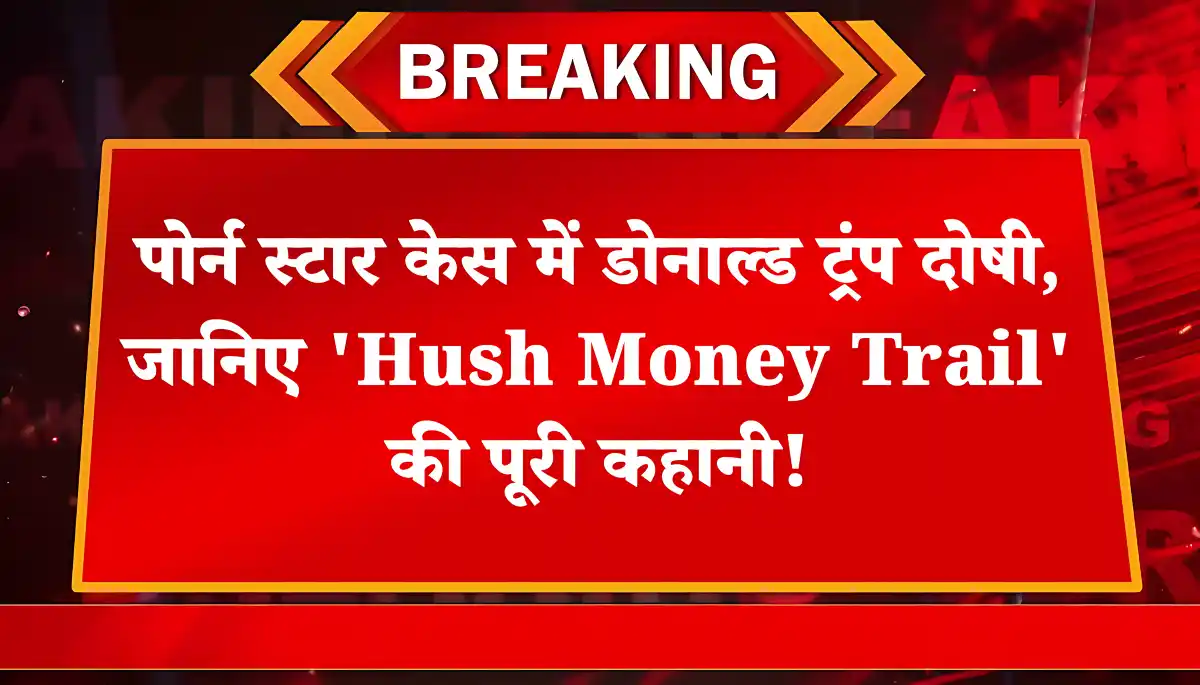 Hush Money Trail: पोर्न स्टार केस में डोनाल्ड ट्रंप दोषी, लेकिन जेल क्यों नहीं?