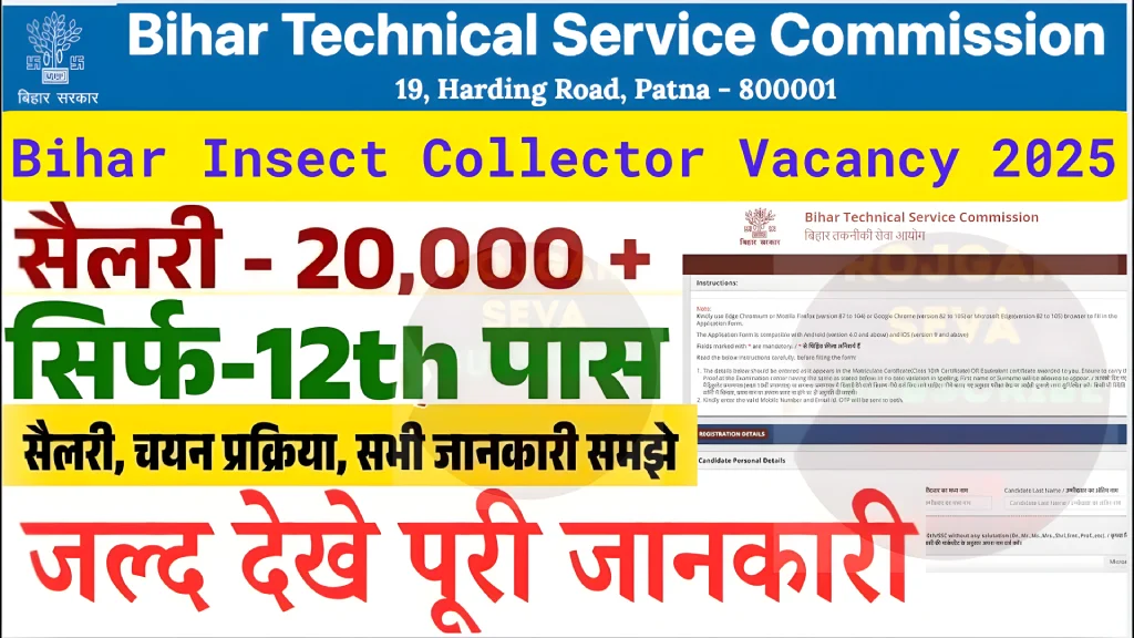 Bihar BTSC Vacancy 2025: 12वीं पास के लिए ₹25,000+ सैलरी वाली सरकारी नौकरी – अभी फॉर्म भरें!